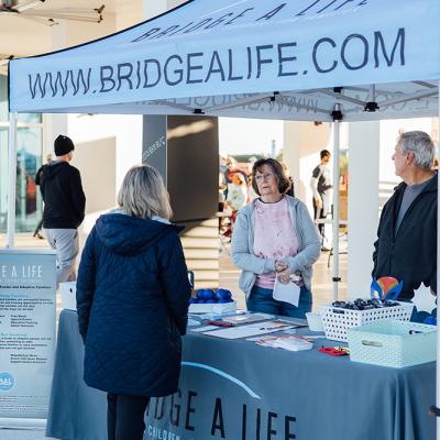 Mavella 20260207 080431