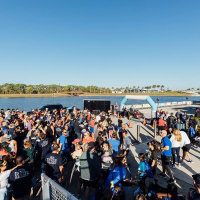 Mavella 20260207 085706